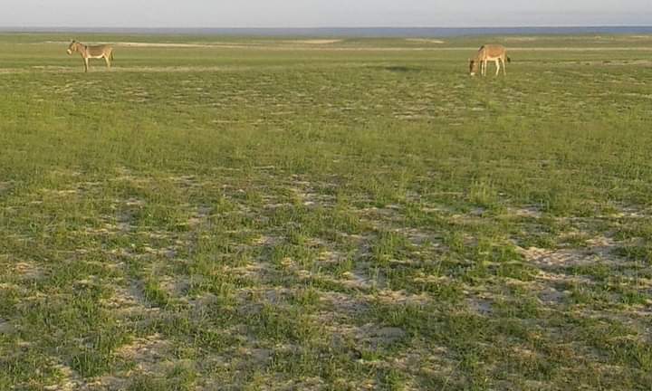 Cold-Chain Infrastructure